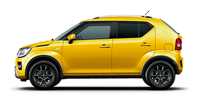 איגניס איגניס